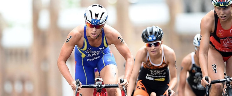 What we learned at #WTSAuckland