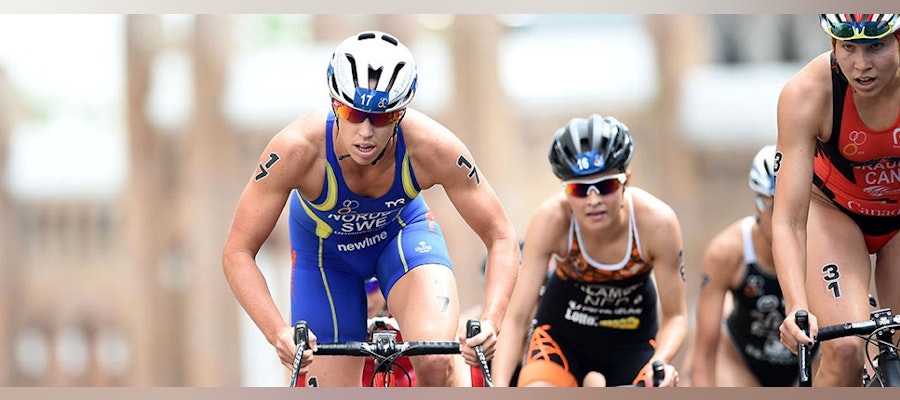 What we learned at #WTSAuckland