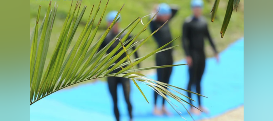 World Triathlon launches Sustainability Guidelines for Event Organisers