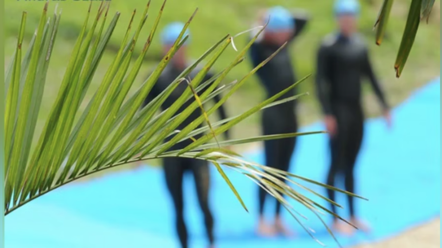World Triathlon appoints members of the Sustainability Commission
