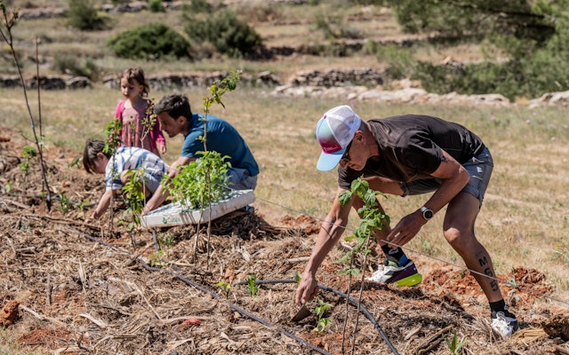 World Triathletes plant edible forest at Terra Viva Ibiza syntropic agroforestry project