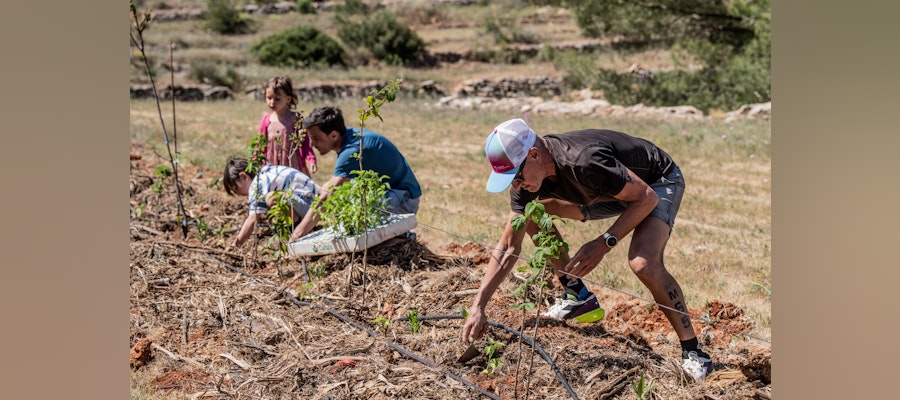 World Triathletes plant edible forest at Terra Viva Ibiza syntropic agroforestry project